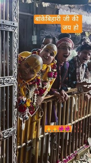 !!🌿चित्र विचित्र बिहारी जी के दर्शन करते हुए🙏🌺!! #bhaktishorts #vrindavanmarg