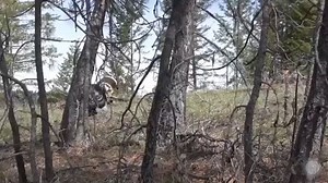 Patternmaster- Science Of Shot on Instagram: "@northwest_spur_chasers_ w/ a #dude! . #patternmasterturkey #codeblackstack #shotgun #howdoyouhunt #whatgetsyououtdoors #iamsportsman #wildturkeyreport #gobblegobble #gobbler #turkeyhunting #waterfowl #goosehunting #ducks #patternmaster"