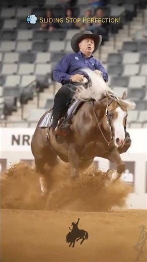 🔥 Sliding Stop Perfection! 🐎💨 Best Reining Horse Run | Dust, Speed & Precision #Shorts