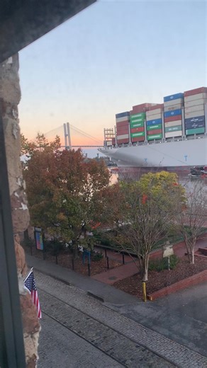 My ship has come in! | Anthony Gifford