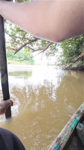 Mancing Seru di Bawah Pohon Rindang dengan Banyak Ikan