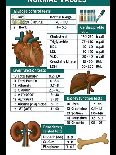 Don’t Ignore These Blood Test Numbers | Normal Values Explained||#BloodTest#LabReport#dailyhealth