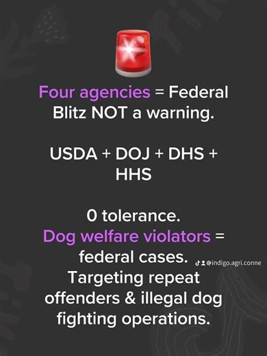 Four agencies. One crackdown.