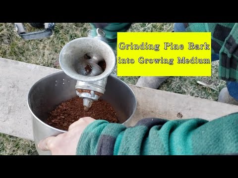 Grinding Pine Bark into Growing Medium