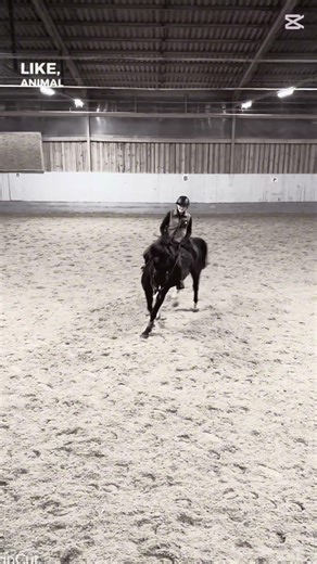 Ostwind 2.0 🥰🦄🩷⭐️🎀