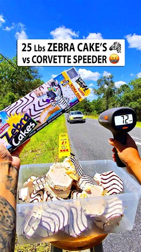 Throwing ZEBRA Cakes 🦓 at CORVETTE Speeder 🤬