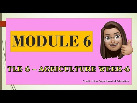MODULE 6 in TLE-6 | AGRICULTURE WEEK-6