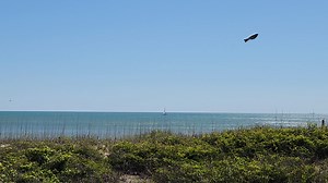 Sailing into the weekend ⛵️😎 #obx #obxnc #NC #obxvacation #southernshoresrealtyobx #sailingintotheweekend | Southern Shores Realty - Outer Banks
