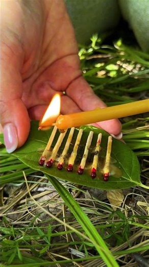 Unleash the Magic: Waterproof Matches Hack You Must Try!