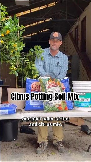 What Kind of Citrus Potting Mix Should I Use?