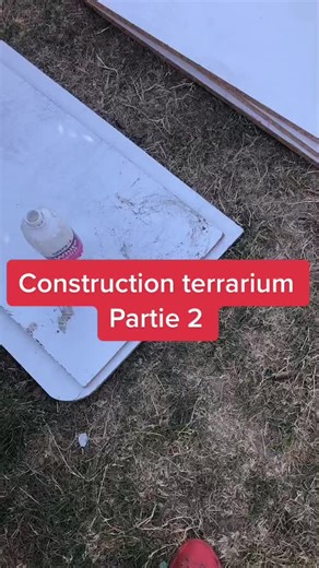 Construction terrarium partie 2 #terrarium #python #serpents #projet #elevage #pourtoi