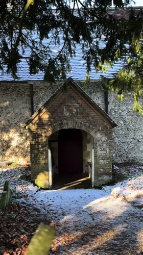 TC (@th0mascarpenter)’s videos with Brockley - TEED