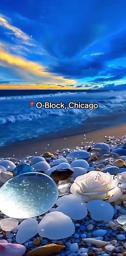 Exploring the Beautiful O-Block in Chicago