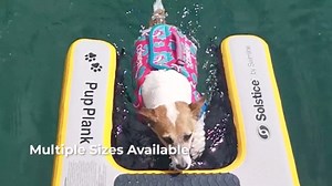 SOLSTICE Inflatable Pup Plank, Dog Water Ramp for Boats and Docks, XL, 200 lb Capacity - Floating Platform for Pets for Lake, River, Beach & Swimming Pool, Includes Pump, Patent-Protected Design