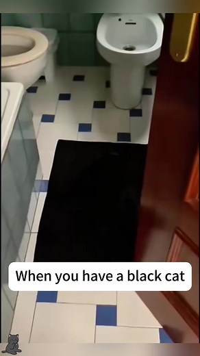 Stealth Magic of a Black Cat Revealed