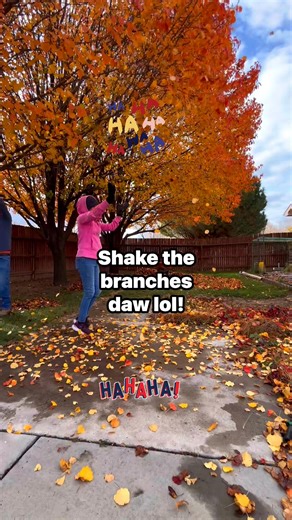 20 reactions · 26 comments | The Branch Tree-shaking: The original leaf blower 藍. Hubby’s idea ! #LeafShaker #autumnvibes #fallleaves #yardwork #outdoorfun | Pearl Gemini Woolf | Facebook