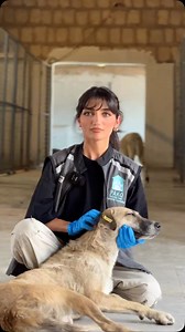 45K views · 3.4K reactions | کاتێ ئەم ژمارەیەت بینی بە گوێچکەی...