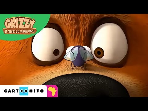 Grizzy & the Lemmings | Fly | Cartoonito Africa