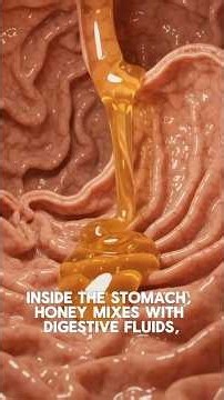 What Happens Inside Your Body When You Eat Honey? 🍯