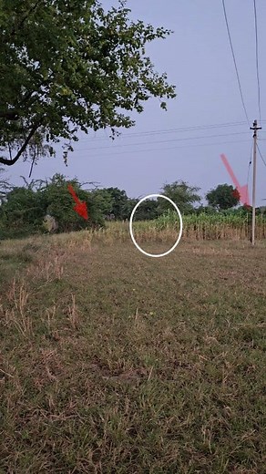 Sk Haunted Vlogs Official on Reels