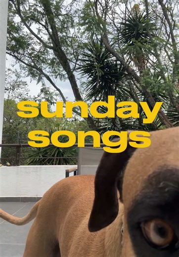 Dreaming in Slow Motion: Aesthetic Music Playlist