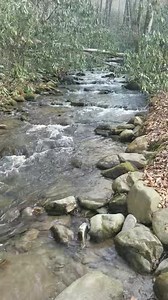 149 reactions · 55 comments | Indian Creek Campground on Reels | Facebook