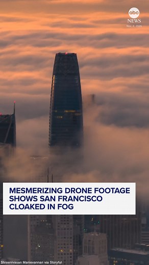 Aerial footage shows fog rolling into San Francisco’s Bay Area, with the tops of buildings and bridges peeking out from under the mist. 😍 For the latest in Bay Area news, weather and sports: https://abc7news.com/ | ABC7 News