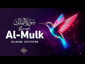 Mesmerizing Surah Al-Mulk (سورة الملك) Recitation by Imam Faysal | Soothing Quran Tilawat