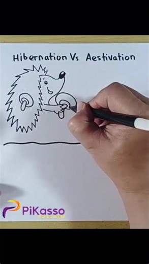 How to Draw Hibernation vs Estivation in Less Than One Minutes