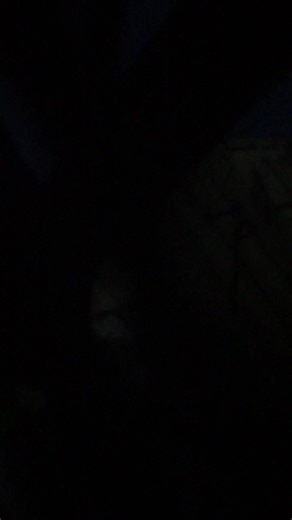 Life in Kenya: Experiencing Unrest in Rongai