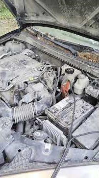 2000 Pontiac Grand Prix GTP: Will It Start Or? #diy #cartok #shorts #pontiac #lol #pnw #mechanic