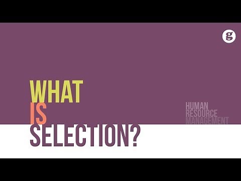 What is Selection?