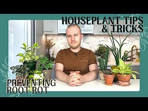 5 Tips For Preventing Root Rot | Houseplant Tips & Tricks Ep. 10