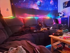 ALITOVE WS2812B LED Strip Addressable RGB LED Pixels Strip Programmable Dream Color Digital L Review