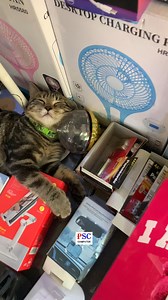 ចាយអាំងប៉ាវអស់ដូចល្វើយ🧧😆 | PSC COMPUTER