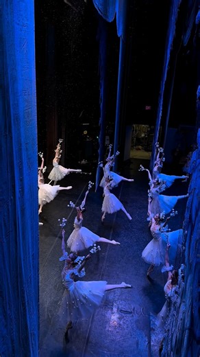 Classical Arts Entertainment on Instagram: "This is your sign to fall in love with The Nutcracker ❄️ Snowflake scene. 🎟️Tickets on sale now! Go to website: www.classicalarts.net #balletmagic #liveperformance #classicalarts #thenutcracker #balletlovers"