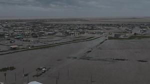 Sargent | Michael Kubecka