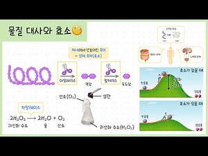 [통합과학① 3단원] 7강. 물질대사와 효소⎥카탈레이스⎥활성화 에너지🧐