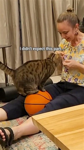 This Cat Learned to Walk on a Basketball...Then Did THIS