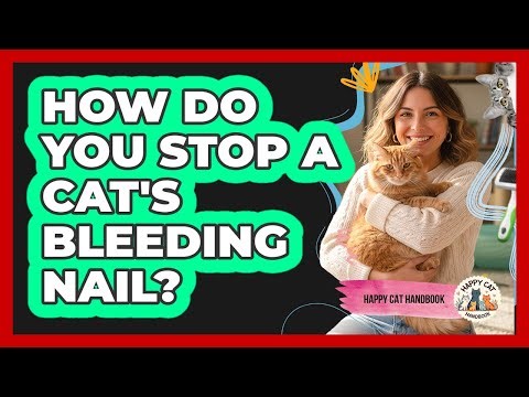 How Do You Stop A Cat's Bleeding Nail? - Happy Cat Handbook