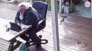 Snake surprises Australian man relaxing outside