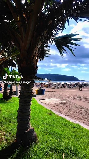 Tenerife in 2026? 🇮🇨🌴 #tenerife #spain #travel #traveltiktok #paradise