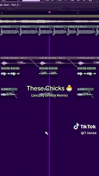These Chicks - Jersey Club Remix