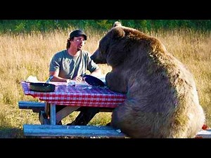 You’re Gonna Die Laughing At These Animals 😂 Funniest Animal Videos 2025 Ever!