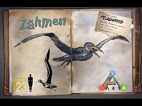 ARK‬: Survival Evolved [GUIDE/Deutsch] ** Pelagornis zähmen **