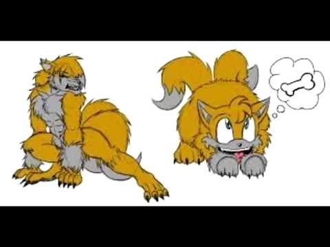 Tails The Werefox
