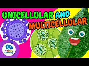 🔬UNICELLULAR and MULTICELLULAR Organisms: Can ONE CELL Be Alive? |Educational Videos| Happy Learning - Videos For Kids