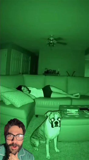 Kalil Diaz on Instagram: "WHAT PROMPT DO YOU EVEN TYPE TO MAKE THIS?! #ghost #paranormal #supernatural #scary #funny #freaky #ai #trending #foryou #fyp"