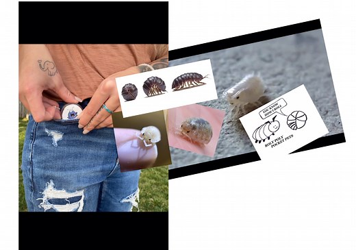 Pocket Pets: Roly Poly Pocket Pet Habitat