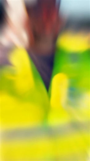 🔨 Real work. Real results. Our team is committed to your safety — from the first nail to the final shingle. Trust your roof to the experts. 💪 📍4818 N Grady Ave, Tampa, FL 33614 📞 833-944-7446 License: CCC1336136 #FixRoofingLLC #RoofRepairs #FloridaRoofing #ExpertRoofers #TampaRoofs #QualityWork #RoofingPros | Fix Roofing LLC